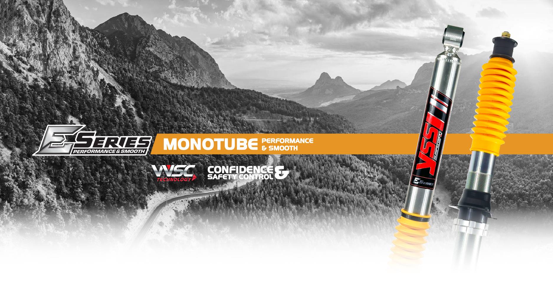 WEBSITE_BANNER_e-series